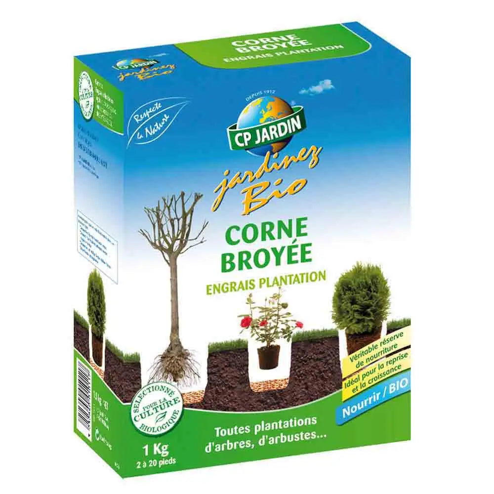 CORNE BROYEE DE PLANTATION 