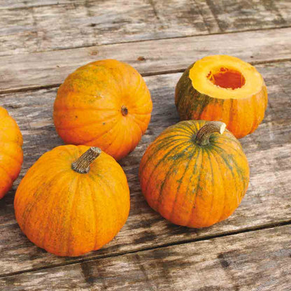 COURGE CHINESE MINI AB 