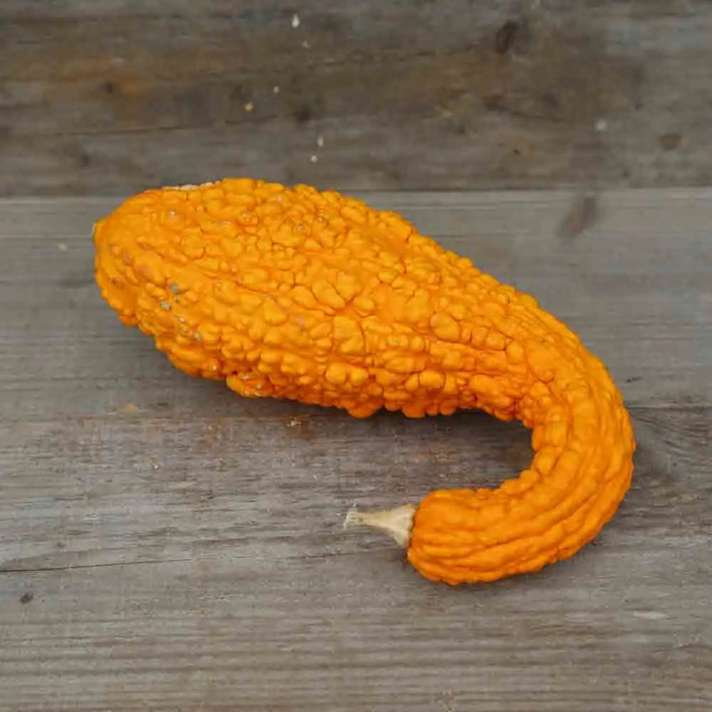COURGE COU TORS AB 