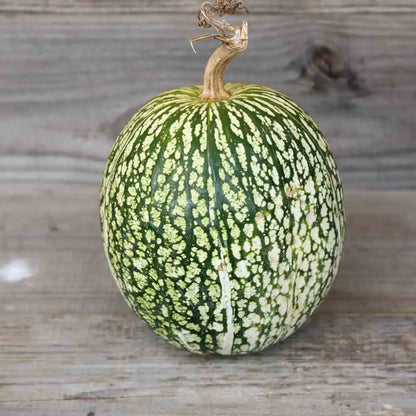 COURGE DE SIAM AB 