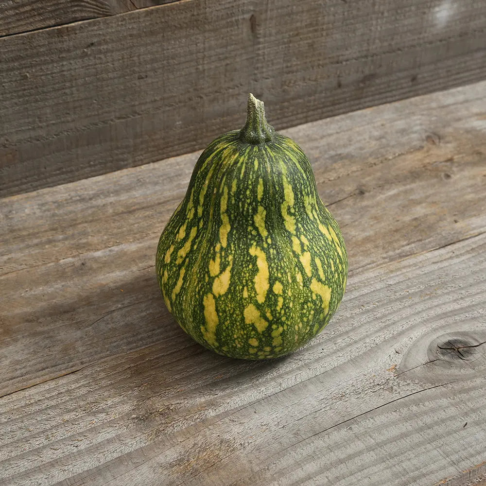 COURGE MUSQUEE AYOTE A CHAIR VERTE DU GUATEMALA AB 
