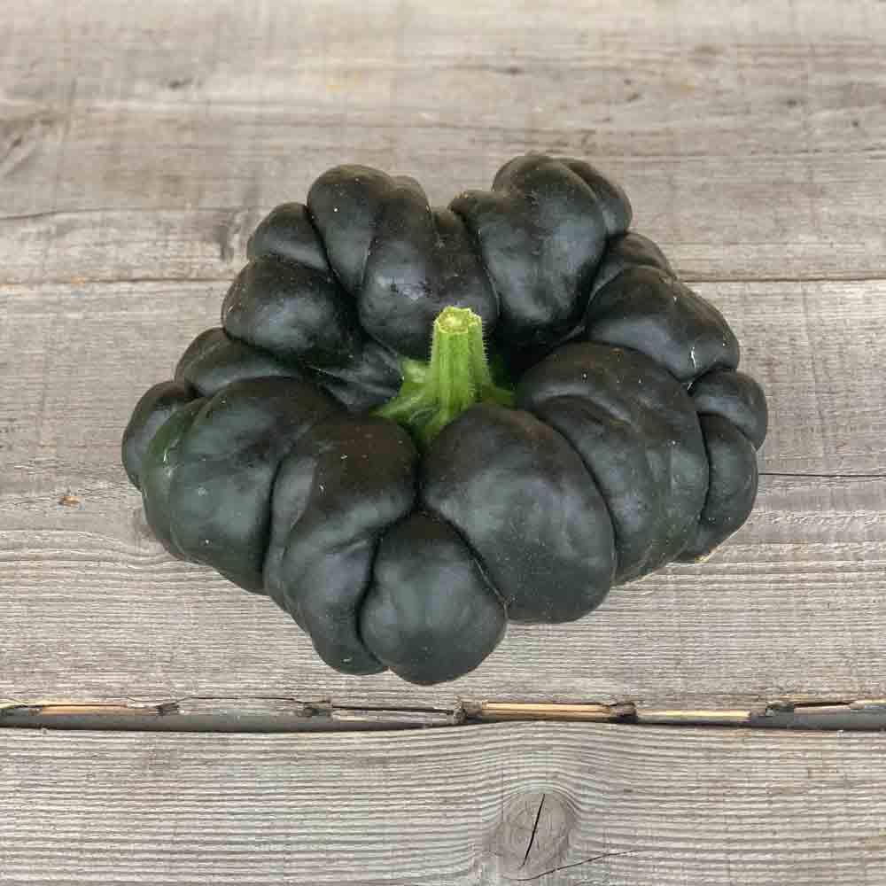 COURGE MUSQUEE HEIPIJIANGBINGGUA AB 
