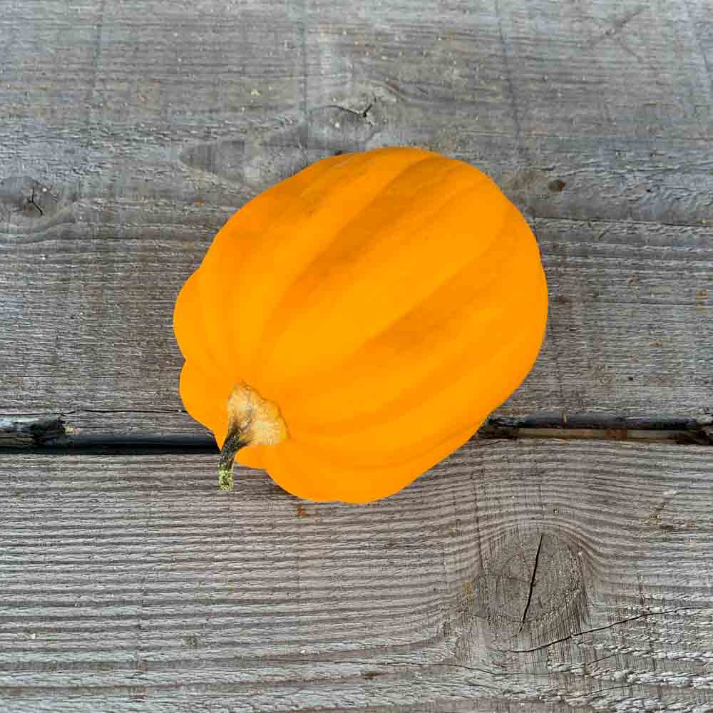 COURGE TABLE GOLD AB 