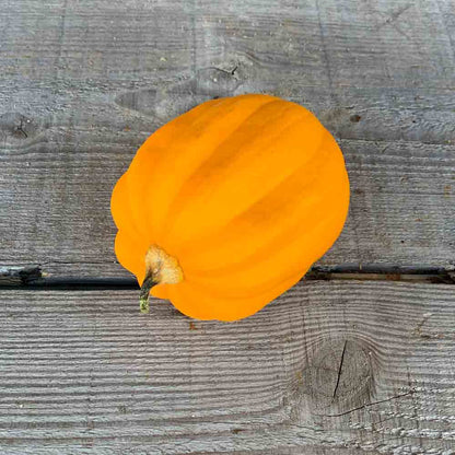 COURGE TABLE GOLD AB 