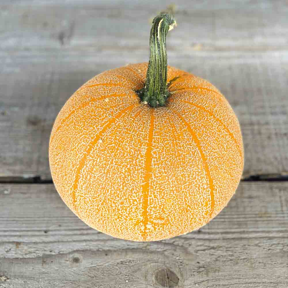 COURGE WINTER LUXURY AB 