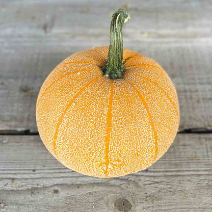 COURGE WINTER LUXURY AB 
