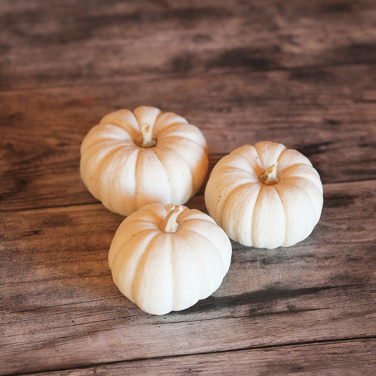 COURGE BABY BOO AB 
