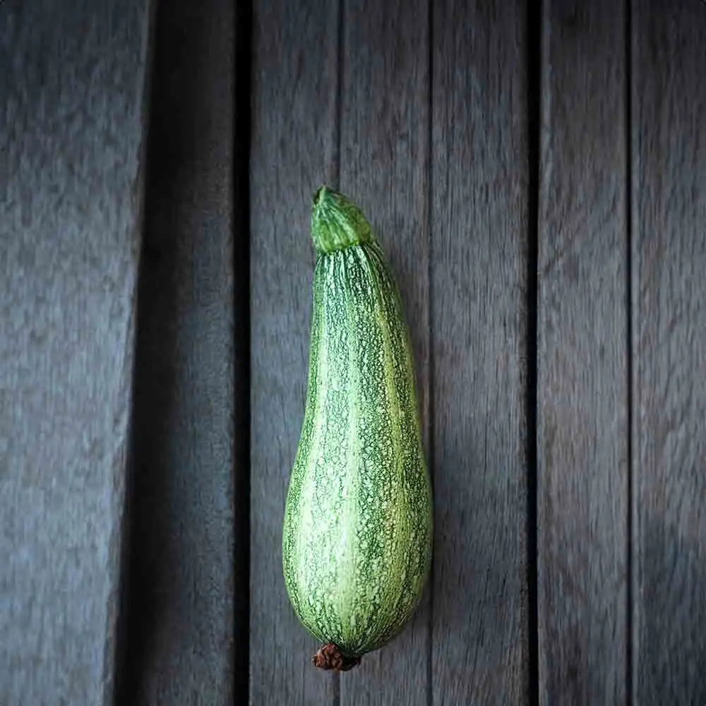 COURGETTE CASERTA AB 