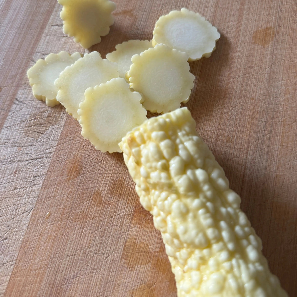 COURGETTE POP-CORN OU RUGOSA FRIULANA AB 