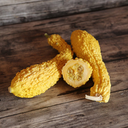 COURGETTE POP-CORN OU RUGOSA FRIULANA AB 