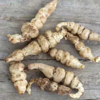 CROSNES DU JAPON AB 