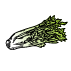 Graines de céleris