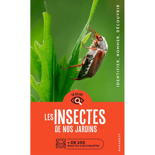 EN BALADE - LES INSECTES DE NOS JARDINS 