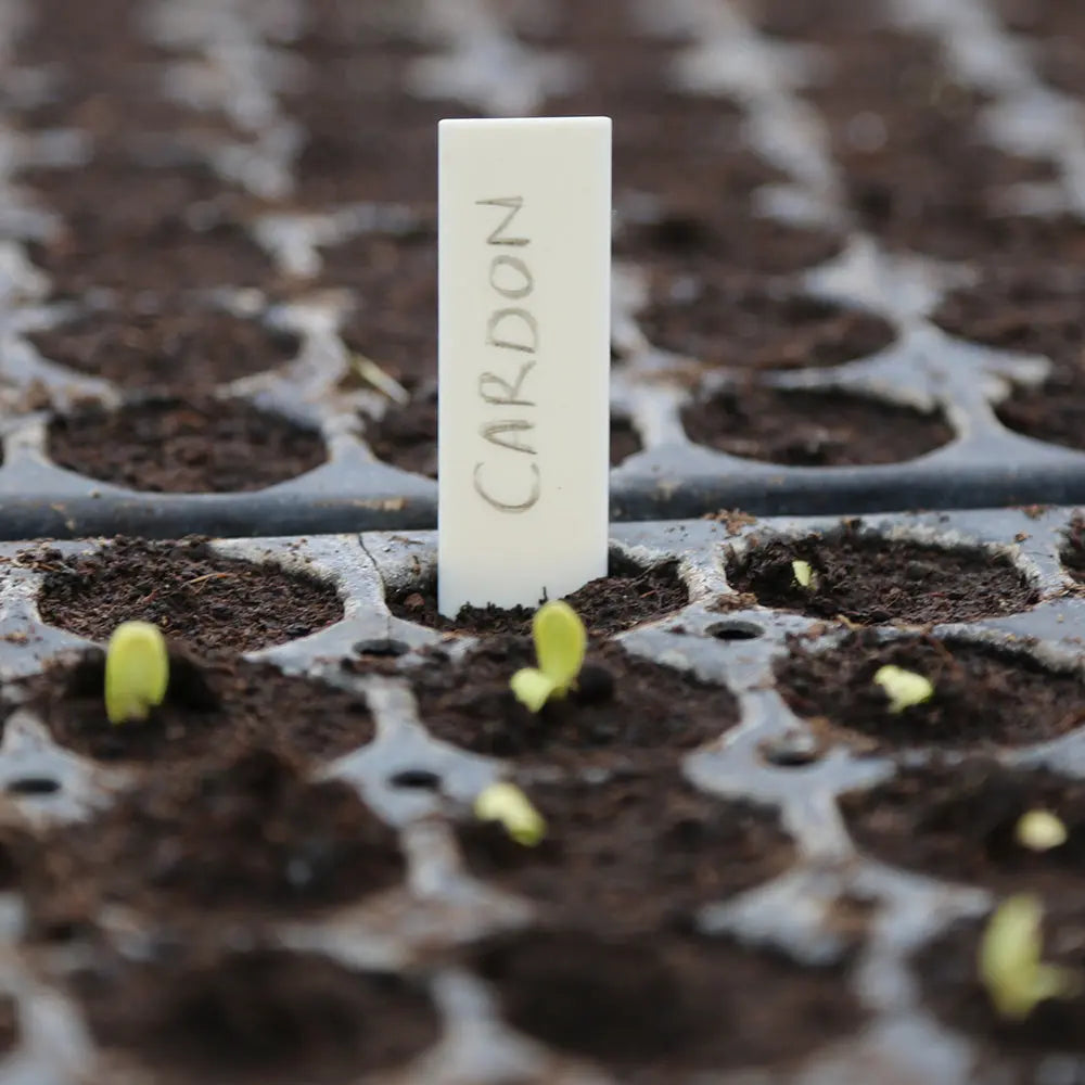 ÉTIQUETTES DE SEMIS COMPOSTABLES 
