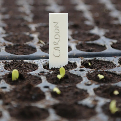 ÉTIQUETTES DE SEMIS COMPOSTABLES 