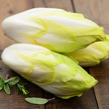 ENDIVE TARDIVO AB 