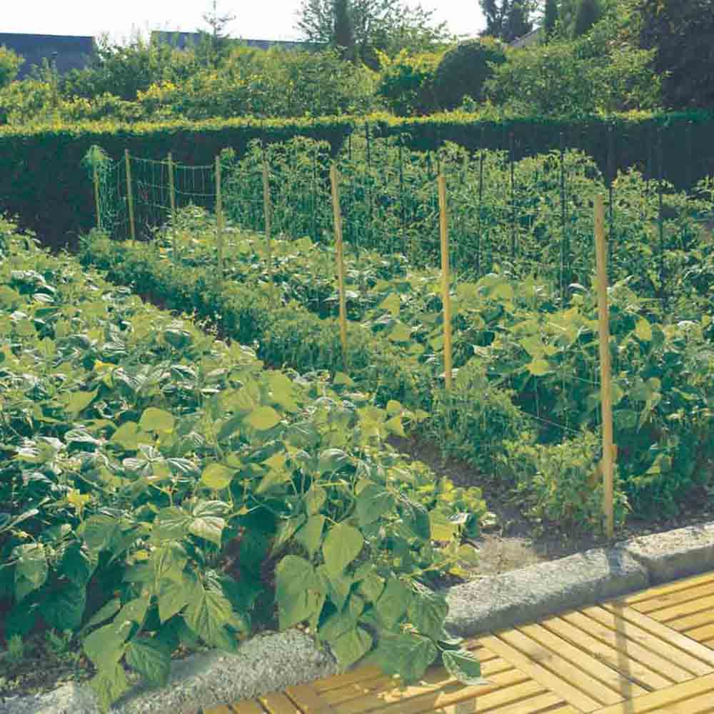 FILET A RAMER 2 x 5 m 