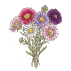 Graines de fleurs faciles à cultiver