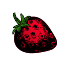 Graines de fraisiers