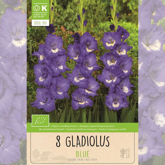 GLAÏEUL BLUE AB 