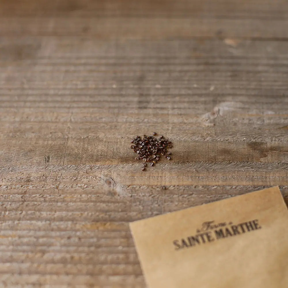 GUIMAUVE OFFICINALE AB 