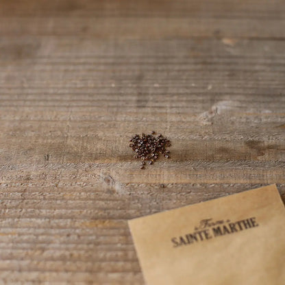 GUIMAUVE OFFICINALE AB 