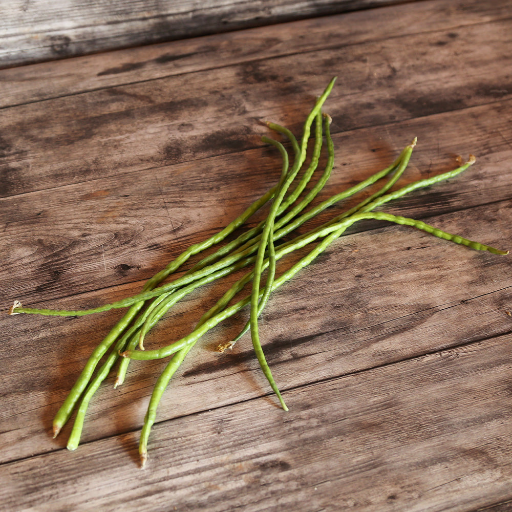 HARICOT SERPENT OU DOLIQUE ASPERGE VERT AB 