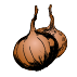 Onions