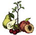Arbres Fruitiers