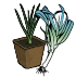 Bio-Lauch