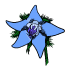 Borage