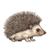 Small animals