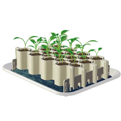 KIT DE GERMINATION 25 PLANTS GRAINES MOYENNES 