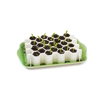 KIT DE GERMINATION 25 PLANTS GRAINES MOYENNES 