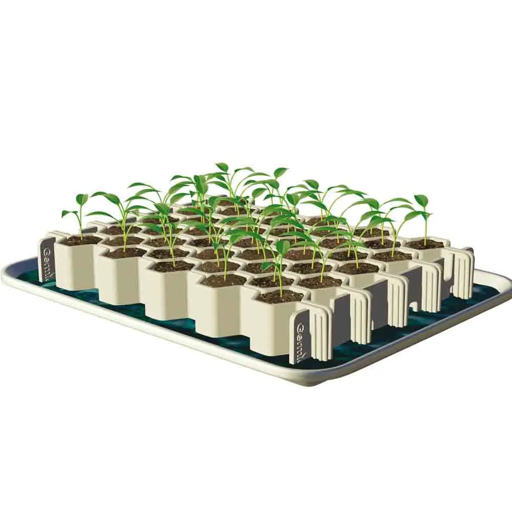 KIT DE GERMINATION 41 MINIMOTTES PETITES GRAINES 