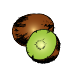 Plants de kiwis bio