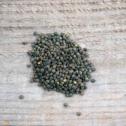 LENTILLE ANICIA AB 