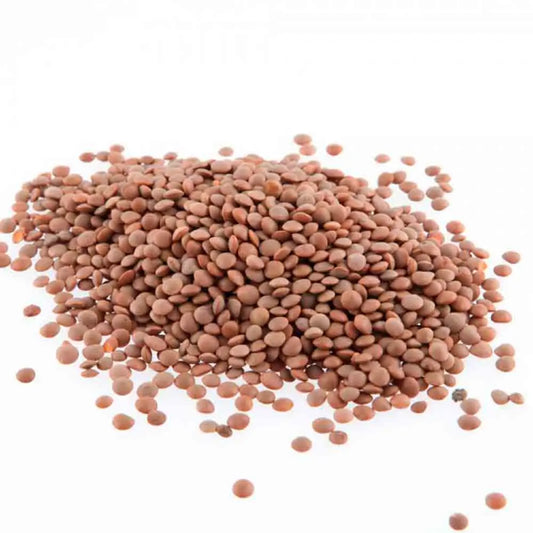 LENTILLE COMMUNE BLONDE AB 