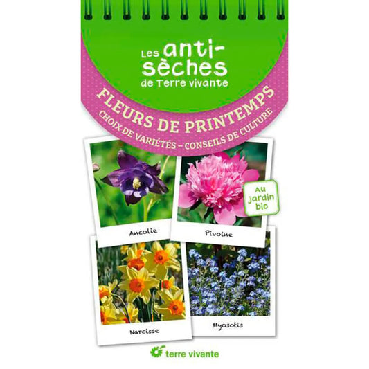 LES ANTISÈCHES DE TERRE VIVANTE : FLEURS DE PRINTEMPS - CHOIX DE VARIÉTÉS CONSEILS DE CULTURE 