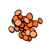 Linsenkerne