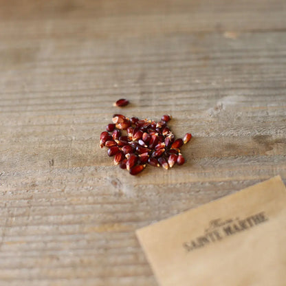 MAÏS POP CORN FRAISE AB 