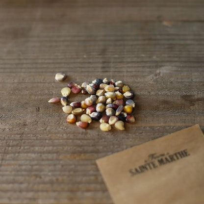 MAÏS POP CORN GLASS GEM AB 