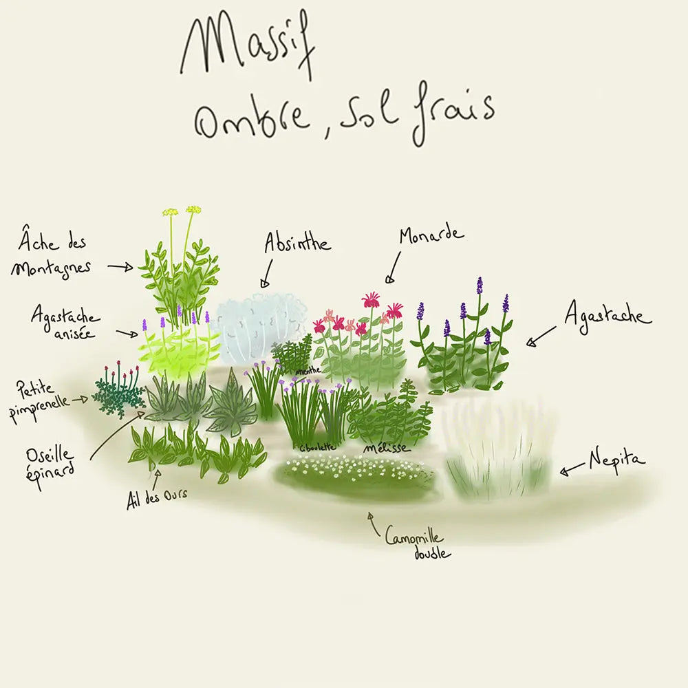 MASSIF CLÉ EN MAIN 12 M² - OMBRE SOL FRAIS 