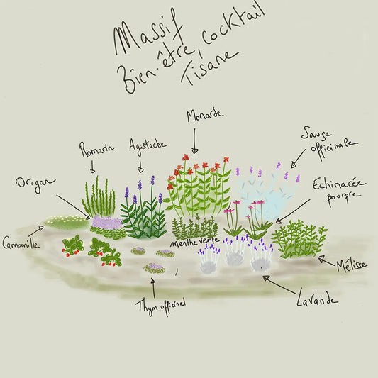 MASSIF CLÉ EN MAIN 12 M² - TISANES ET COCKTAILS 