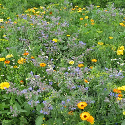 MELANGE FLEURI - JARDIN DE CURE  NT 25 g 