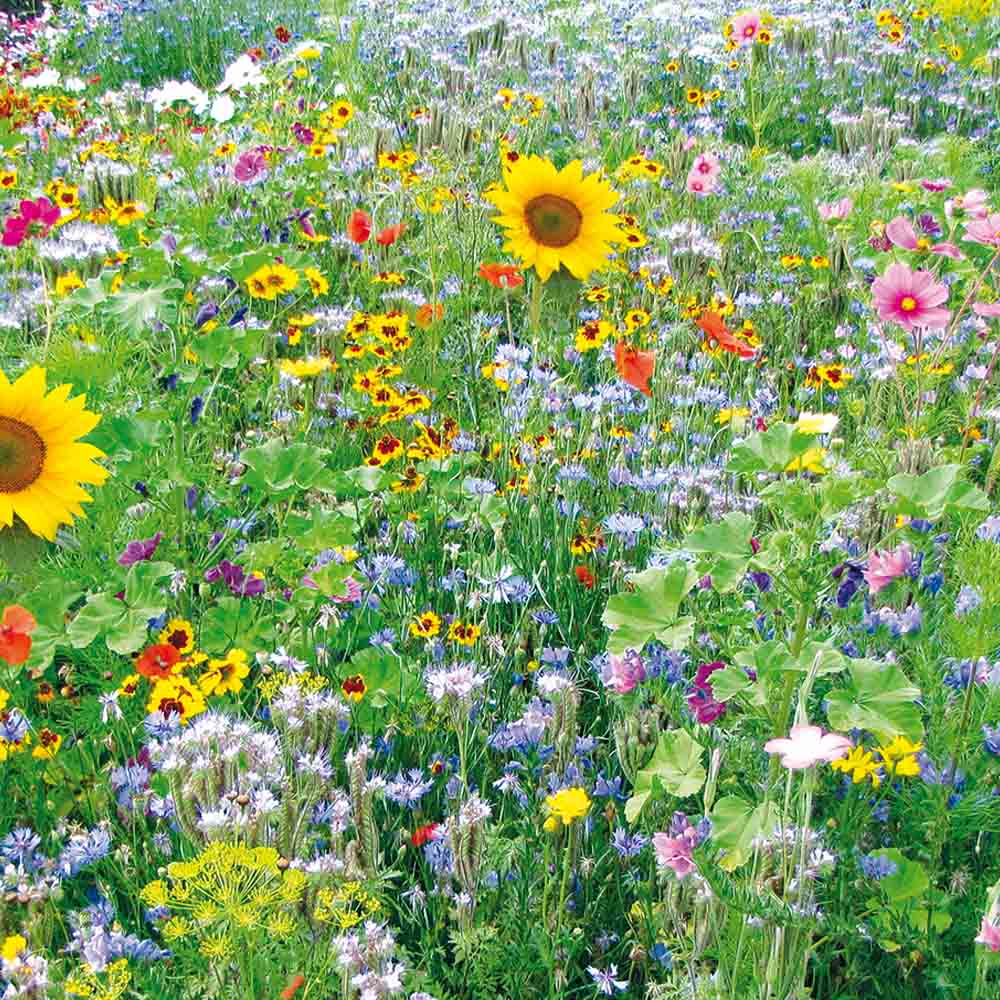 MELANGE FLEURI - NOURRIR LES ABEILLES AB 20 g 