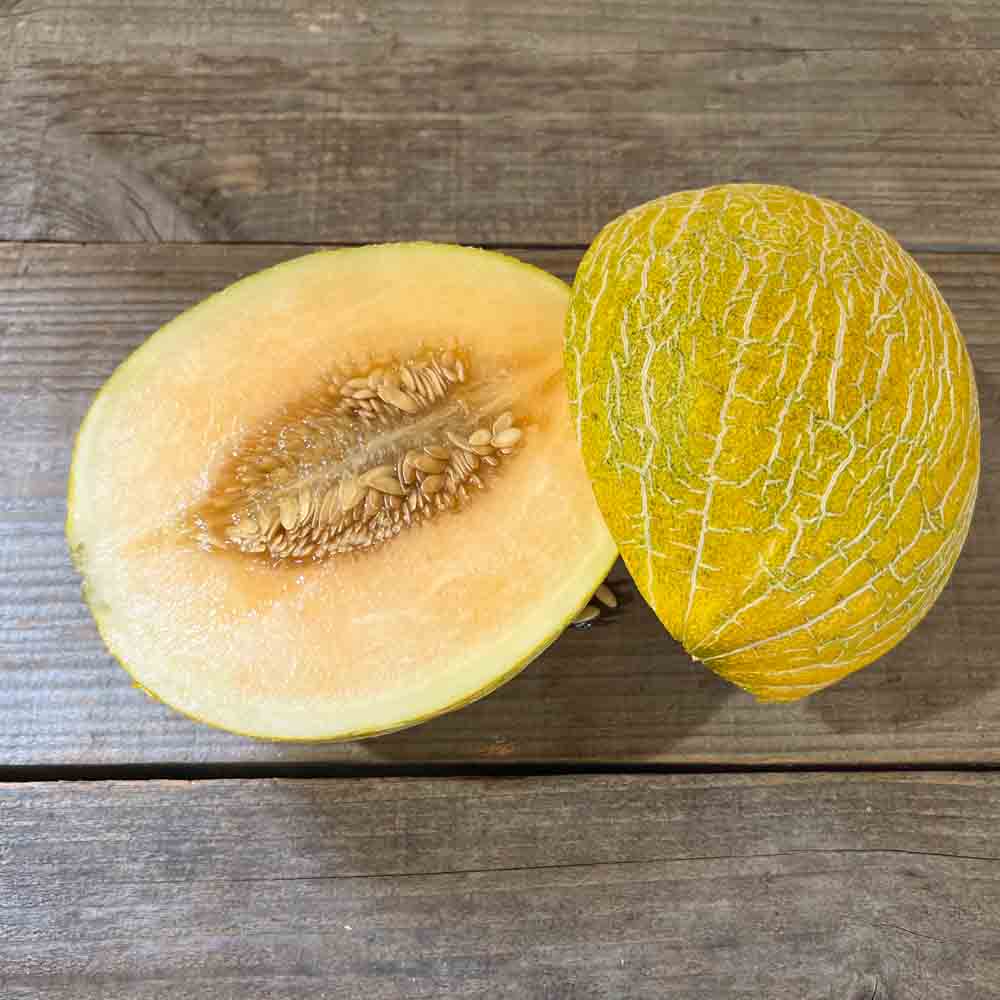 MELON DE CAVAILLON ESPAGNOL A CHAIR ROSE AB 
