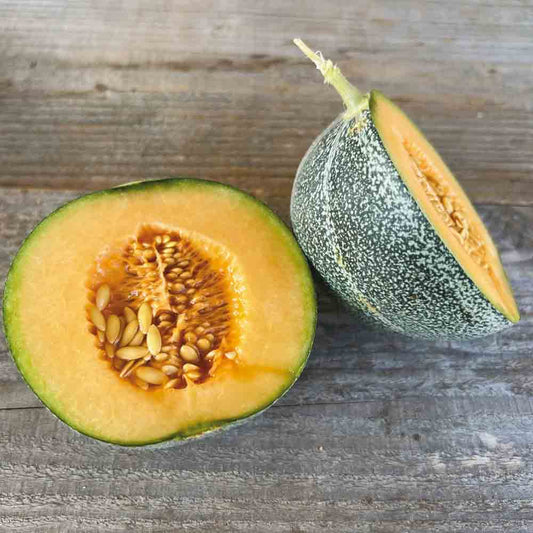 MELON PETIT GRIS DE RENNES AB 