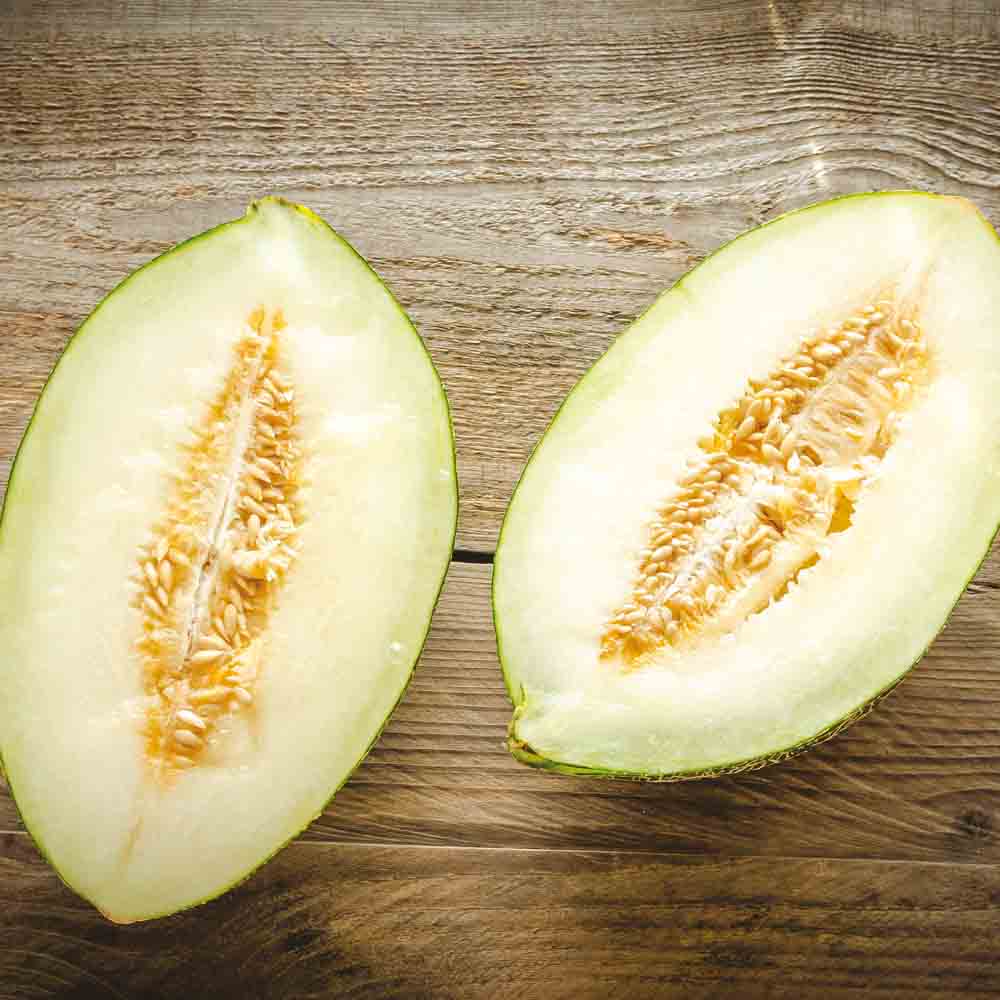 MELON VERT D´ESPAGNE PINONET OU PIEL DE SAPO AB 