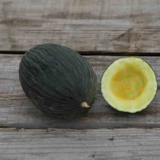 MELON VERT OLIVE D´HIVER AB 